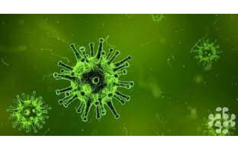 Цефимед: ваш надежный помощник в борьбе с бактериальными инфекциями