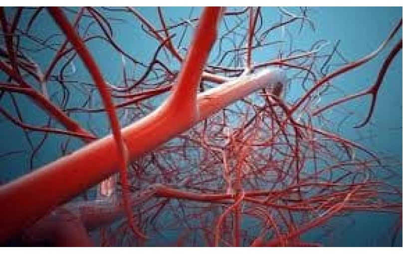 Защитите свои сосуды: Цилозек