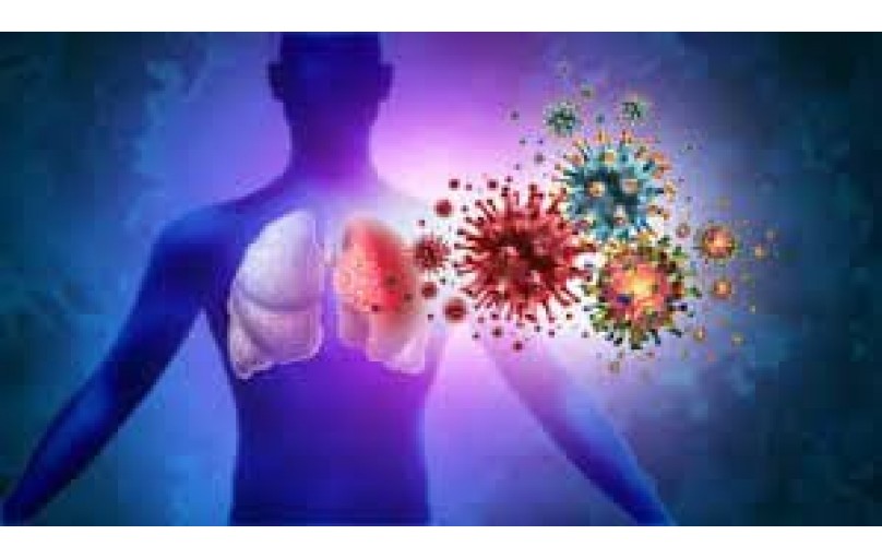 Ваш гид по Ципрофлоксацину