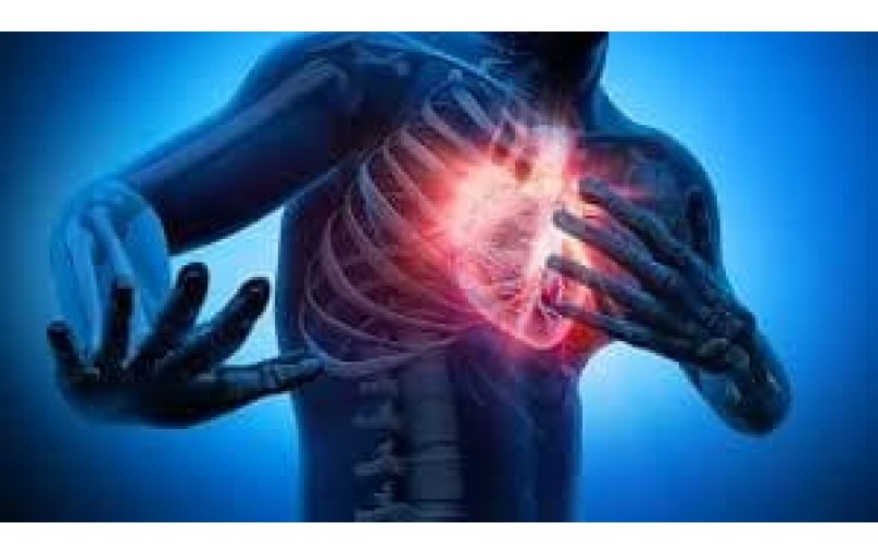 Эгилок: как он действует и кому подходит?