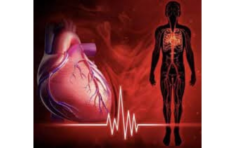 Элестар: всё о препарате для контроля артериального давления