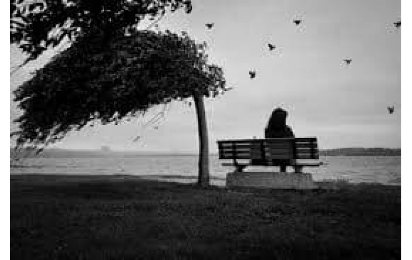 Элицея: ваш путь к эмоциональному благополучию