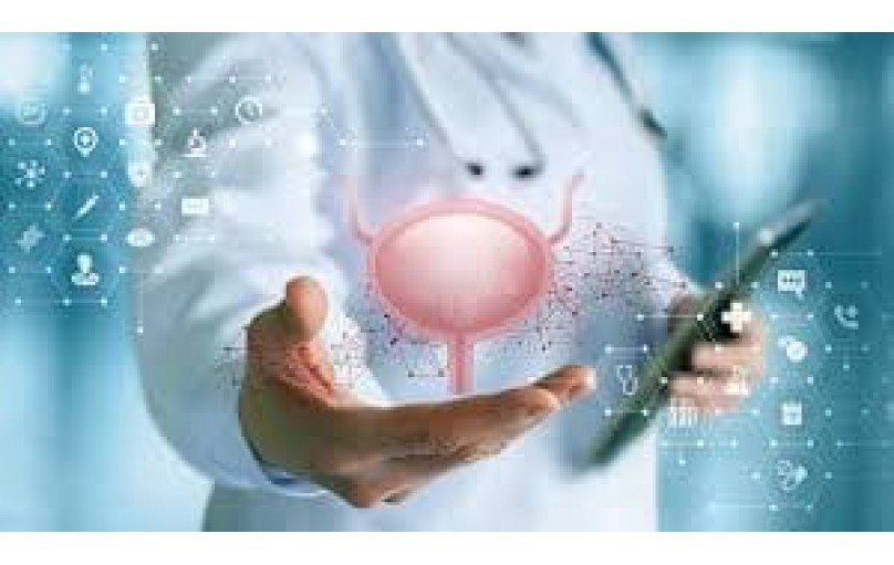 Эмселекс: надежное решение для контроля над гиперактивным мочевым пузырем