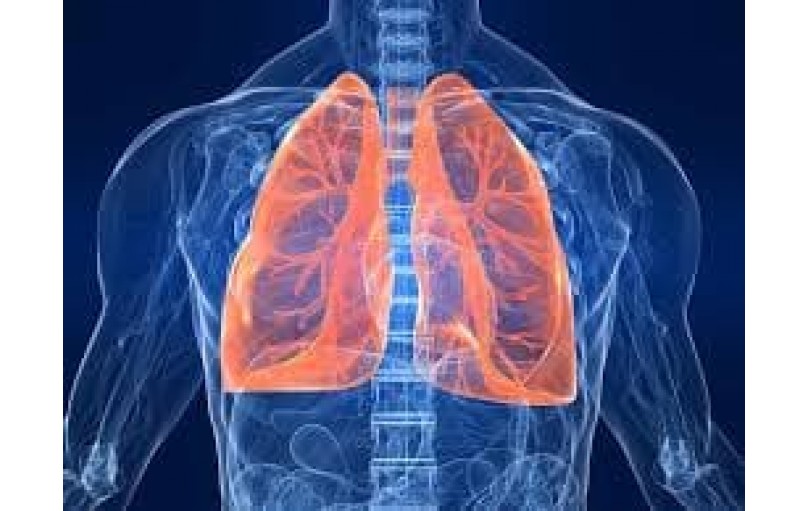 Энерзейр Бризхалер: Длительный эффект, удобство применения