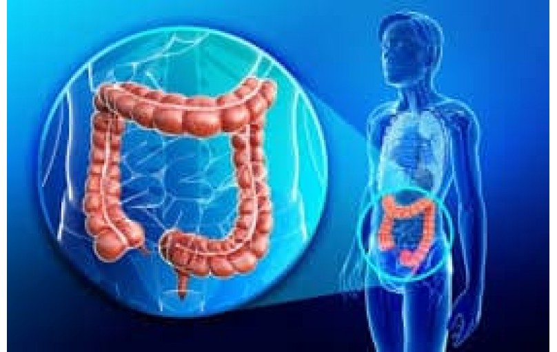 Энтокорт: средство для лечения воспалительных заболеваний кишечника