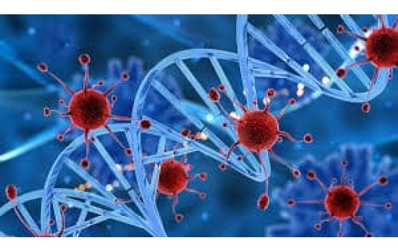 Эпивир: эффективное лечение ВИЧ-инфекции. Дозировки и рекомендации.