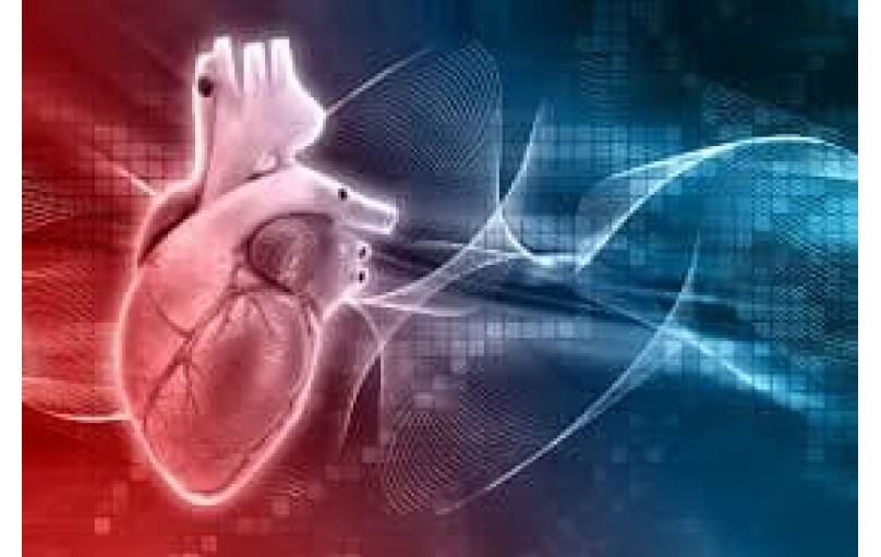 Эплеренон: ваш союзник в борьбе с сердечной недостаточностью