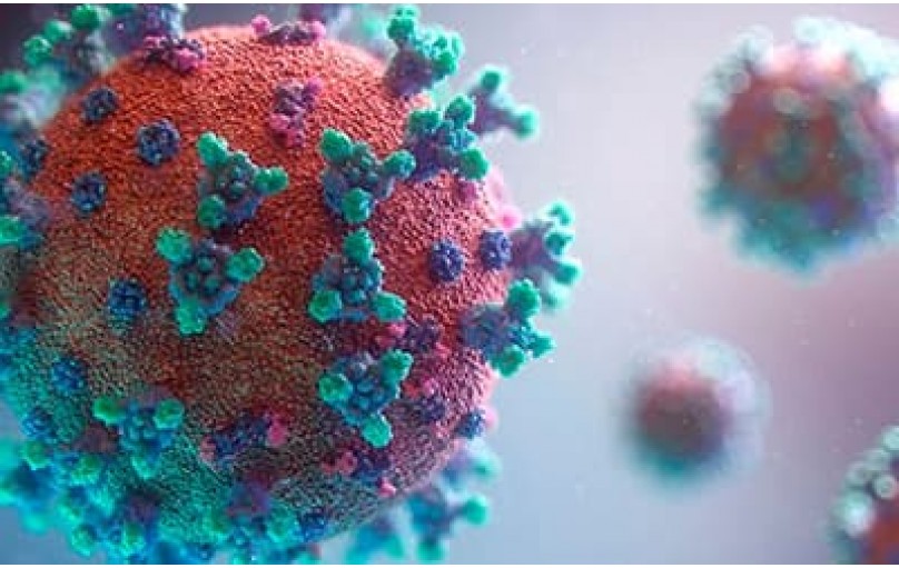 Экорал: иммунодепрессант для вашего здоровья