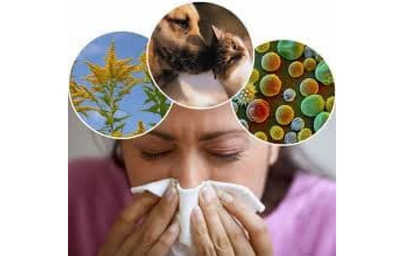 Эролин: эффективное решение против аллергии