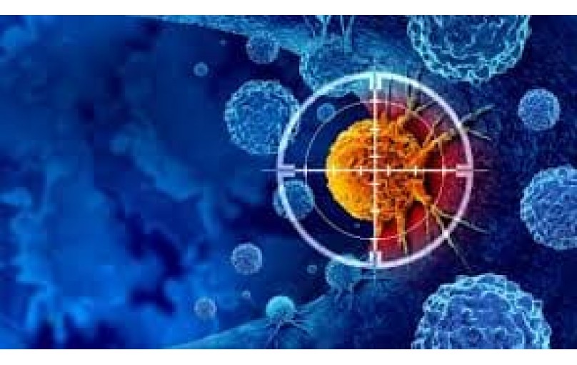 Этопозид: всё, что нужно знать о препарате