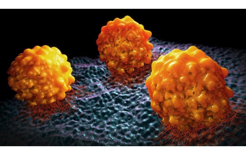 Этрузил: снижение уровня эстрогенов при раке молочной железы