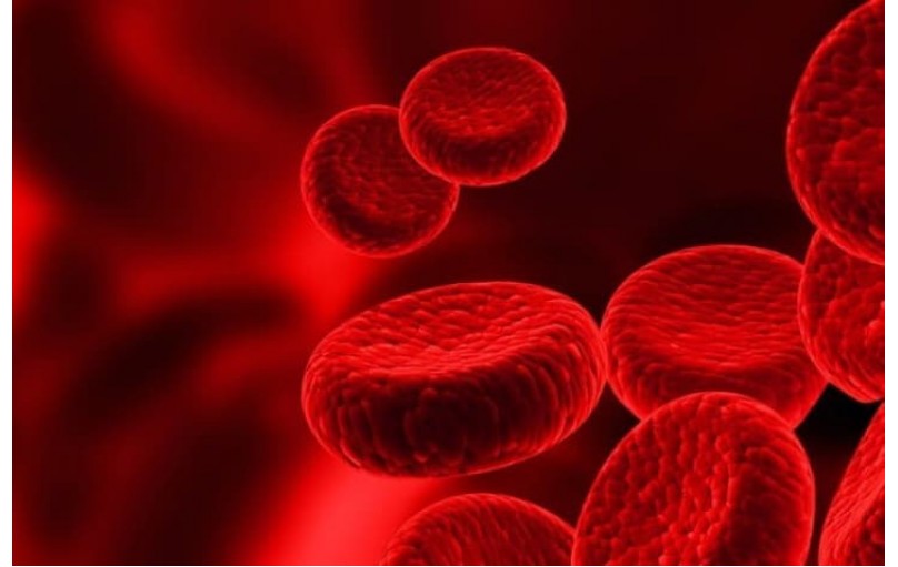 Эукреас: Эффективный контроль сахара в крови