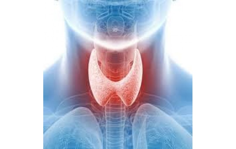 Щитовидная железа под контролем: Все, что нужно знать об Эутироксе