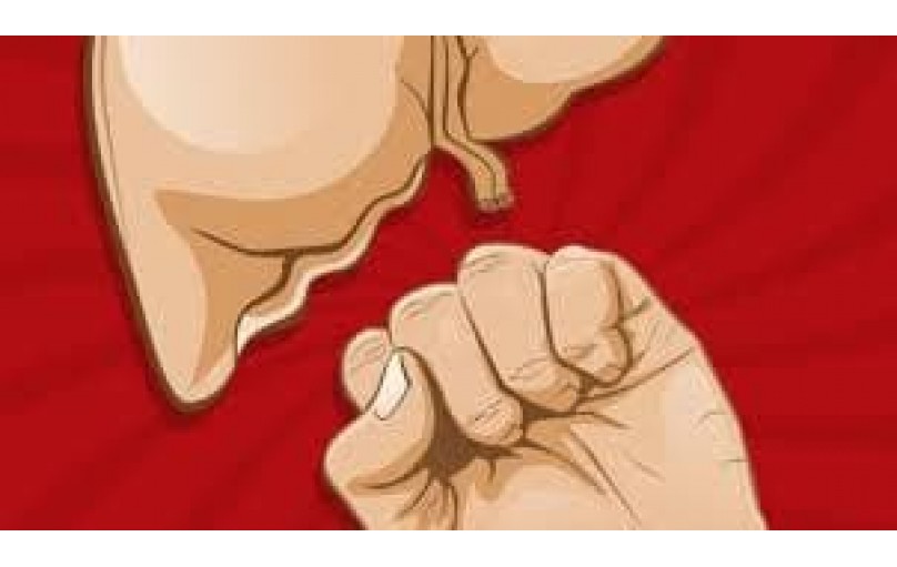 Эксиджад: как избавиться от перегрузки железом.