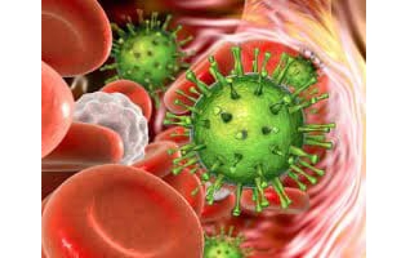 Фромилид: ваш курс лечения бактериальных инфекций