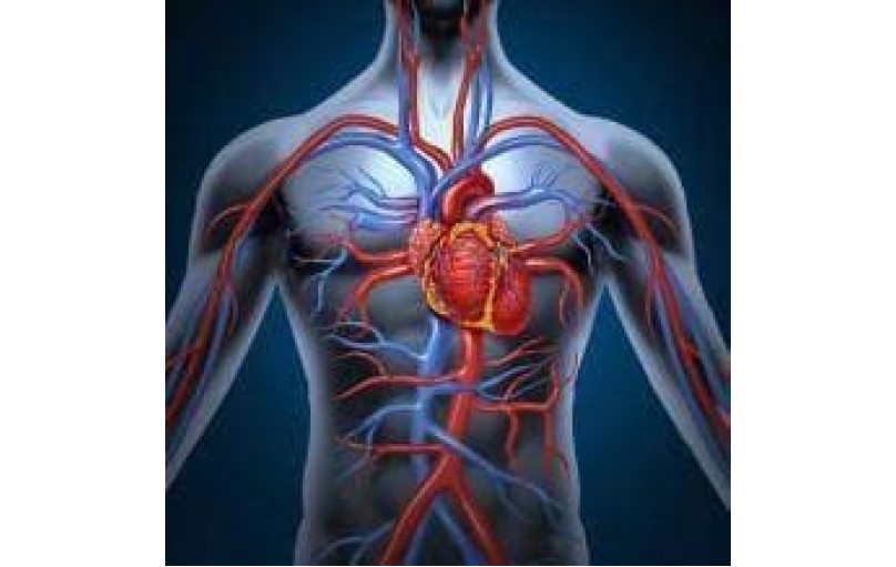 Троксерутин: помощник для здоровья вен и капилляров