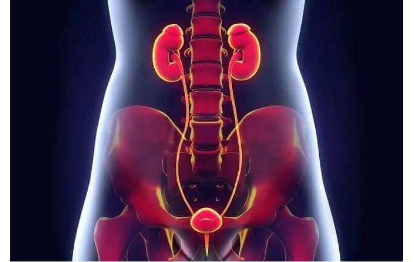 Избавьтесь от частых позывов: Обзор препарата Уроксал