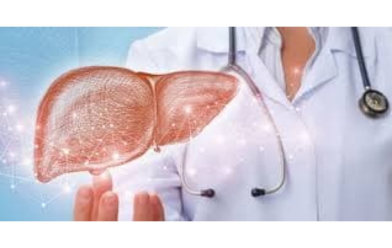 Забота о печени: Все, что вам нужно знать об Урсофальке